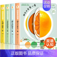 [全套4册]翻翻变变认知书 [正版]宝宝手指推拉书机关书婴儿早教绘本好玩的洞洞书0-1到2岁一3-岁儿童书籍适合一岁半两