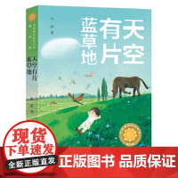 天空有片蓝草地孙施儿童文学天天出版社正版