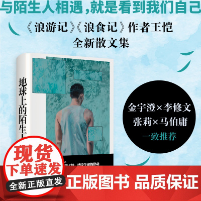 地球上的陌生人 王恺 中国民间本色 当代生活的吃穿用度婚丧仪轨财富与景观口味与风俗物质世界生老病死 当代中国民间生活的气