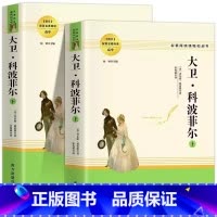 大卫科波菲尔 [正版]老人与海海明威中文版 原著初高中生一七八九年级课外阅读世界经典文学畅名著小说销书籍排行榜老人和海