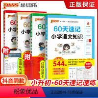 语文+数学+英语+单词[全套4本] 小学升初中 [正版]2024小升初60天速记小学知识语文数学英语单词词汇六年级总复习