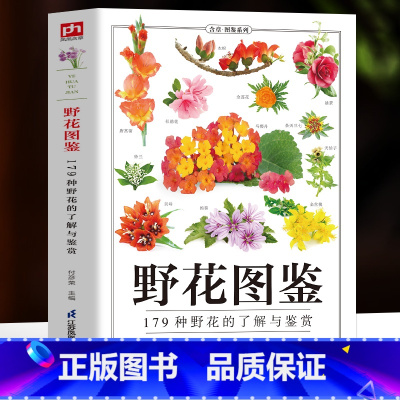 野花图鉴 [正版]野花图鉴 179种野花的了解与鉴赏 野外常见花卉园林植物识别图鉴 植物图鉴百科全书 花卉养殖生长习性科