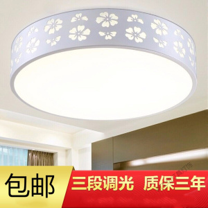 苏宁放心购 led吸顶灯 调光调色客厅灯卧室灯具圆形现代简约餐厅灯儿童房灯饰 雪花系列 24w遥控调光