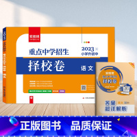 语文 小学升初中 [正版]春雨实验班小升初真卷2023重点中学招生择校卷语文数学英语六年级下册衔接全国通用冲刺名校试卷测