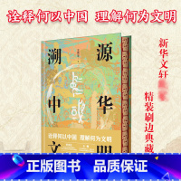 溯源中华文明 [正版]精装刷边典藏版溯源中华文明诠释何以中国 理解何为文明呈现更加立体的中华文明 中华文明发展道路的时间