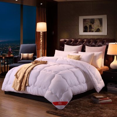 加厚保暖被子冬被宿舍单人学生春秋棉被芯空调被褥四季通用 200X230cm 双人春秋被(5斤)