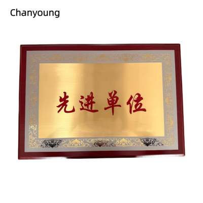 晨洋(Chanyoung)可定制奖牌 HYBG006 块
