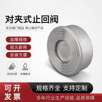 中锦科技 不锈钢对夹止回阀 定制 台