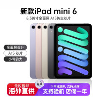 苹果 Apple iPad mini6 256G 紫色 WIFI版 资源机