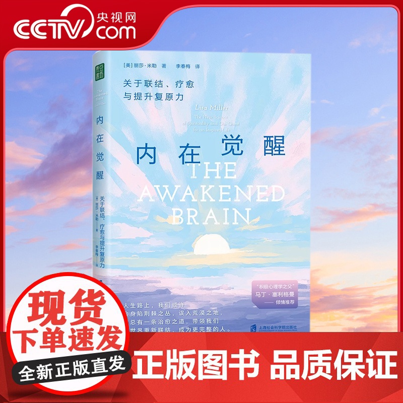 内在觉醒 关于联结 疗愈与提升复原力 心理知识抑郁症紧张压抑压力 能使人重获力量成为更强大的自己哥伦比亚大学心理学教授力