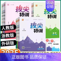 化学-人教版 九年级上 [正版]2025版拔尖特训初中七八九年级上册下册数学科学浙江语文英语物理化学人教版浙教版外研版初