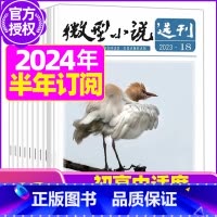 H[半年订阅]2024年1-6月 [正版]微型小说选刊杂志2023年/2024年1-12月全年/半年订阅/2022年打包
