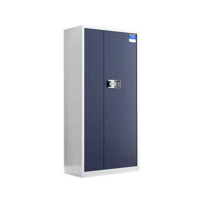 利特莱依保密柜财务档案柜文件柜办公室资料储物柜保险柜电子密码国保锁通体白框灰门-国保密码锁