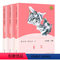 [人教版]快乐读书吧6年级上册全套 [正版]全套3册童年爱的教育小英雄雨来书高尔基快乐读书吧六年级必读课外书阅读书籍6上