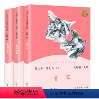 [人教版]快乐读书吧6年级上册全套 [正版]全套3册童年爱的教育小英雄雨来书高尔基快乐读书吧六年级必读课外书阅读书籍6上