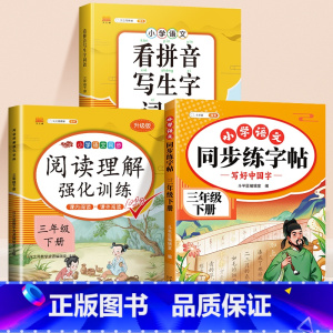 [三年级下]练字帖+看拼音写词语+阅读理解 [正版]小学语文同步练字帖一年级二年级下册三四五六年级人教版字帖每日一练硬笔
