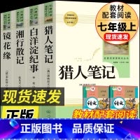[人教版4册]猎人笔记+镜花缘+湘行散记+白洋淀纪事 [正版]七年级上册阅读课外书 猎人笔记白洋淀纪事镜花缘湘行散记人教