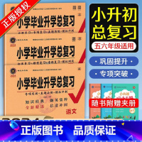 [小升初总复习3本]语文+数学+英语 小学通用 [正版]2024小学毕业升学总复习语文数学英语人教版六年级入学考试总复习
