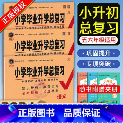 [小升初总复习3本]语文+数学+英语 小学通用 [正版]2024小学毕业升学总复习语文数学英语人教版六年级入学考试总复习