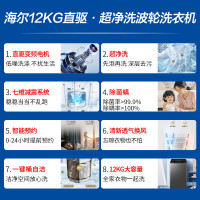 海尔(Haier) 12公斤 变频 全自动 波轮洗衣机 超净洗 除菌除螨 政府补贴 自编程 XQB120-BZ20L0