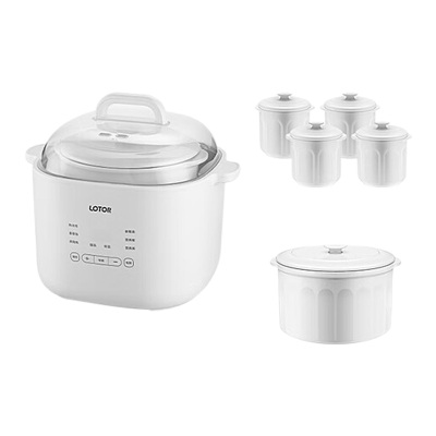 LOTOR电炖锅精准控温热水快炖超大容量五胆款LD-DDZ40