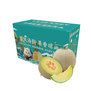 礼盒装[熊猫鸟]新鲜网纹蜜瓜 净重4.5斤 2-3个 应季水果 新鲜甜瓜 鲜果 坏果包赔
