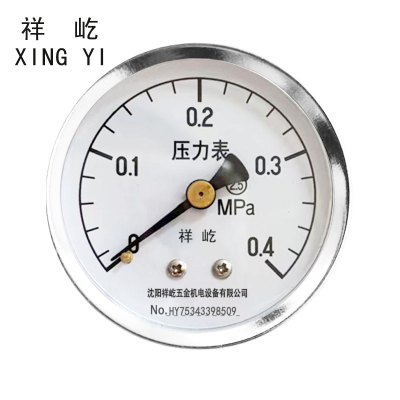 祥屹 轴向压力表检测定制型 Y60Z 块