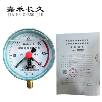 嘉禾长久 耐震电接点压力表(带辽宁省级检定证书)YNXC100 块