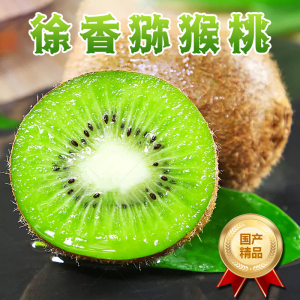 [熊猫鸟]陕西徐香绿心猕猴桃 当季新鲜水果 净重4.5斤 小果 单果60-70g 新鲜水果