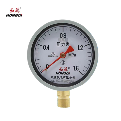 红旗 耐高温压力表定制检测款 YTH-100 1.6MPA (其他压力值需备注) 块