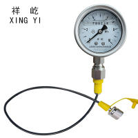 祥屹 不锈钢耐震压力表(含测试软管) YN60BF 块