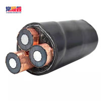 常顺鑫 铝芯电缆YJLV22 3×70 米