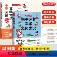 [组合更划算]初中+小学必背文学常识 [正版]初中必背文学文化常识 思维导图速记中考小学语文基础知识文学常识积累大全通用