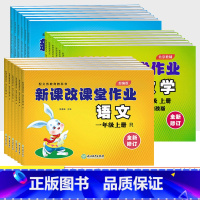 语数英3本[北京版] 六年级下 [正版]北京专版新课改课堂作业一二三四五六年级上册下册语文数学英语同步训练全套北京版小学