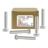 昡 不锈钢六角头螺栓 M10*160 个