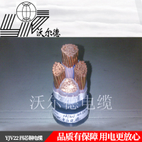 沃尔德电缆 电力电缆 YJV22 0.6/1KV 2*10