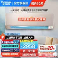 松下(Panasonic)1匹新一级能效直流变频 20倍纳诺怡除菌自清洁一键睡眠壁挂式空调挂机 LG9KQ10N
