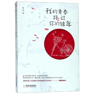 我的青春路过你的锦年