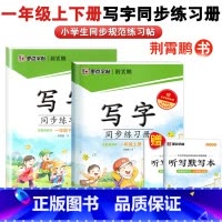 [写字同步练习册] 2本套 1年级上下册·无蒙纸 小学通用 [正版]新版大开本墨点人教版小学一二三四五六年级上册下册1-