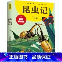 [彩图注音]昆虫记 [正版]昆虫记法布尔原著彩图注音拼音版儿童版一年级二年级三年级课外阅读课外书必读你海底两万里钢铁是怎