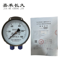 嘉禾长久 双针压力表(带辽宁省级检定证书)YCS100 1.0级 台