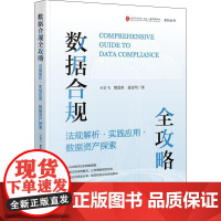 数据合规全攻略:法规解析·实践应用·数据资产探索 王岩飞 樊思琪 聂雯珺著 法律出版社