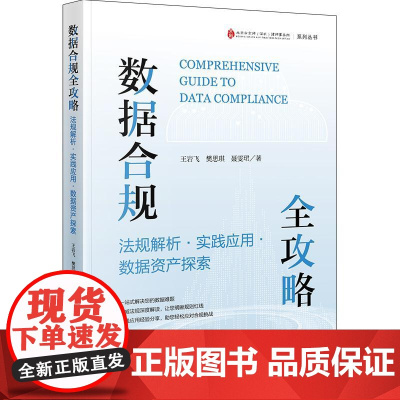 数据合规全攻略:法规解析·实践应用·数据资产探索 王岩飞 樊思琪 聂雯珺著 法律出版社