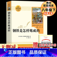 钢铁是怎样炼成的 [正版]钢铁是怎样炼成的经典常谈人教版无删减版原着全套人民教育出版社名人传苏菲平凡的世界阅读八年级下册