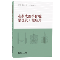 音像注浆成型挤扩桩原理及工程应用胡玉银 等