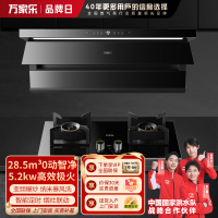 万家乐 抽油烟机 烟灶套装 28.5立方大风量挥手智控纳米暴风洗油烟机灶具套装K9R2+AY9天然气