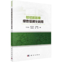 音像硅铝质固废绿色低碳化利用王长龙[等]著