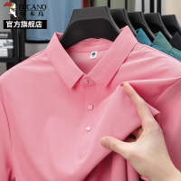 啄木鸟官方爸爸短袖t恤男士中年冰丝polo衫夏季薄款2025新款上衣K