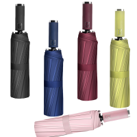 洛安斯 晴雨伞 全自动10骨双龙骨 把