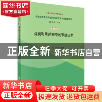 正版 煤炭利用过程中的节能技术 金涌,陈勇等编著 科学出版社 97